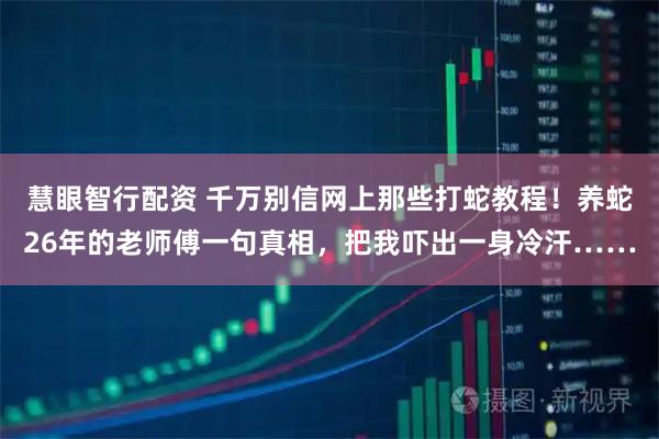 慧眼智行配资 千万别信网上那些打蛇教程！养蛇26年的老师傅一句真相，把我吓出一身冷汗……