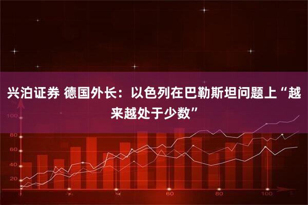 兴泊证券 德国外长：以色列在巴勒斯坦问题上“越来越处于少数”