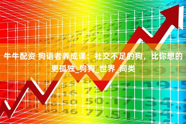 牛牛配资 狗语者养成课：社交不足的狗，比你想的更孤独_狗狗_世界_同类