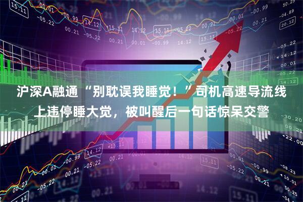 沪深A融通 “别耽误我睡觉！”司机高速导流线上违停睡大觉，被叫醒后一句话惊呆交警